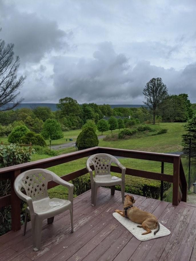 Fenced Yard Chalets From Good Dog Vacations At Big Valley Resort Sciota Bagian luar foto